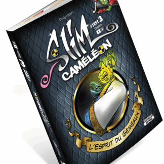 TEST 3 : L’ESPRIT DU GÉMEAU