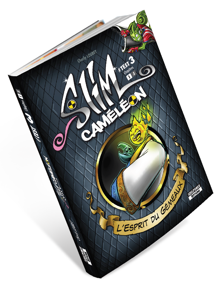 TEST 3 : L’ESPRIT DU GÉMEAU