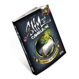 TEST 3 : L’ESPRIT DU GÉMEAU